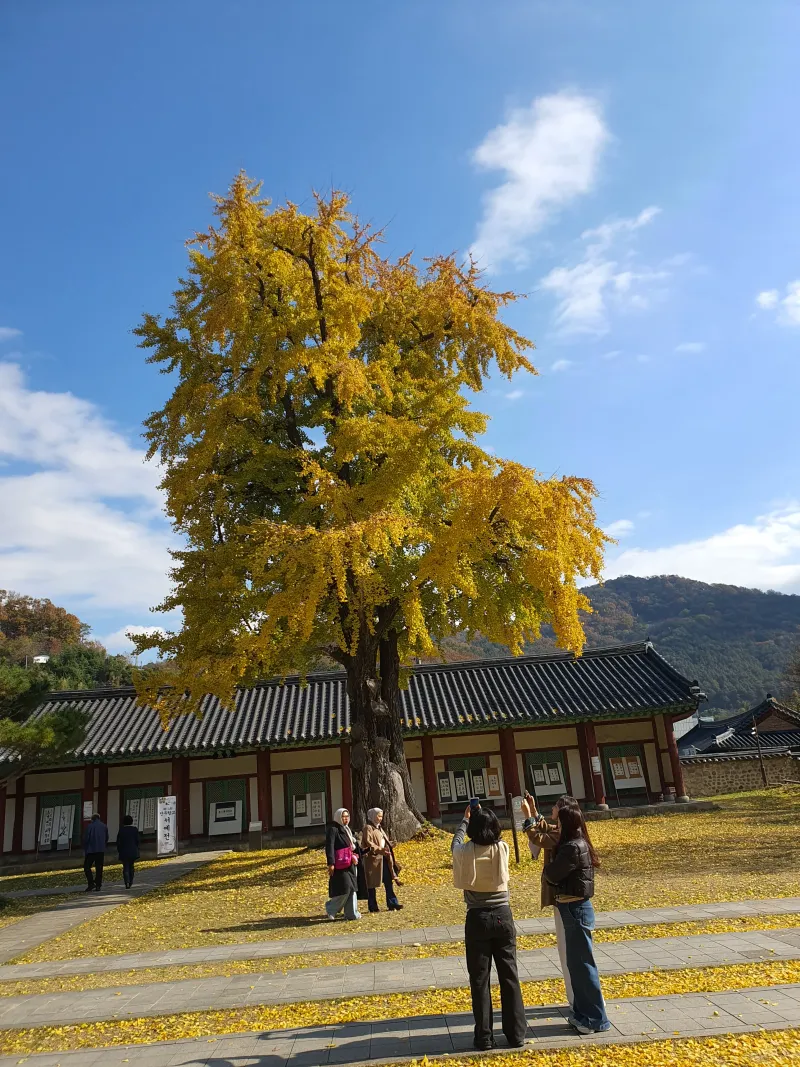 [Jeonju] Three-room Jay House 1, 1-minute walk from Hanok Village 25