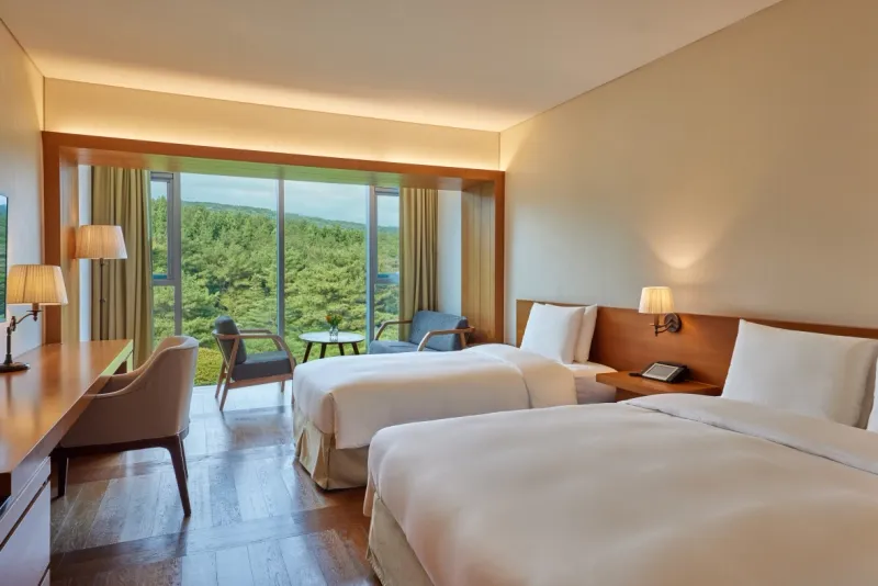 [Hoesu-dong, Seogwipo] Seogwipo: Korea's First Premium Health Resort + Superior Twin Rooms with Forest Views 5