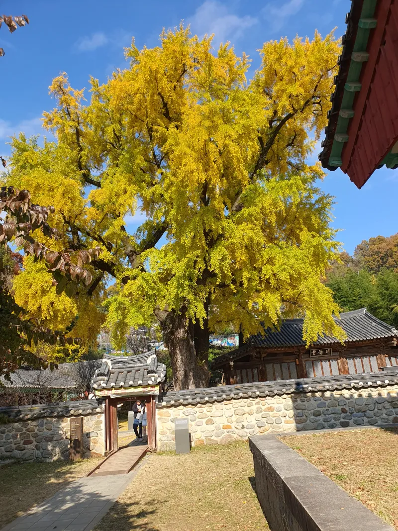 [Jeonju] Three-room Jay House 1, 1-minute walk from Hanok Village 24