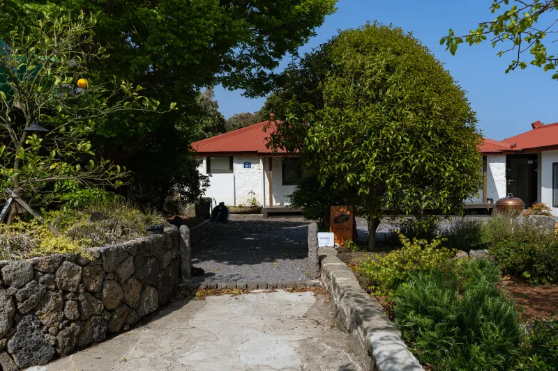 [Pyoseon, Seogwipo][East Jeju] Ryu Seung-ryong Actor Planning's Large Family Independent Stay #OutdoorJacuzzi 16