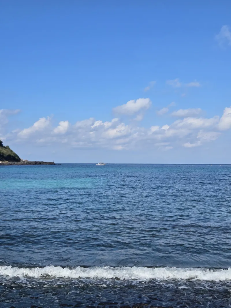 [Jocheon, Jeju] East Bukchon Village Beach 10-second cut #DogsAllowed 39