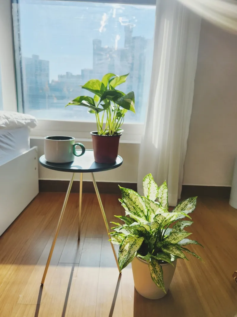 [Seongdong, Seoul] Wangsimni Seongsu Gangnam Myeongdong Seoul Station - Sangwangsimni Station 2-minute walk Fully furnished, south-facing, good view 7