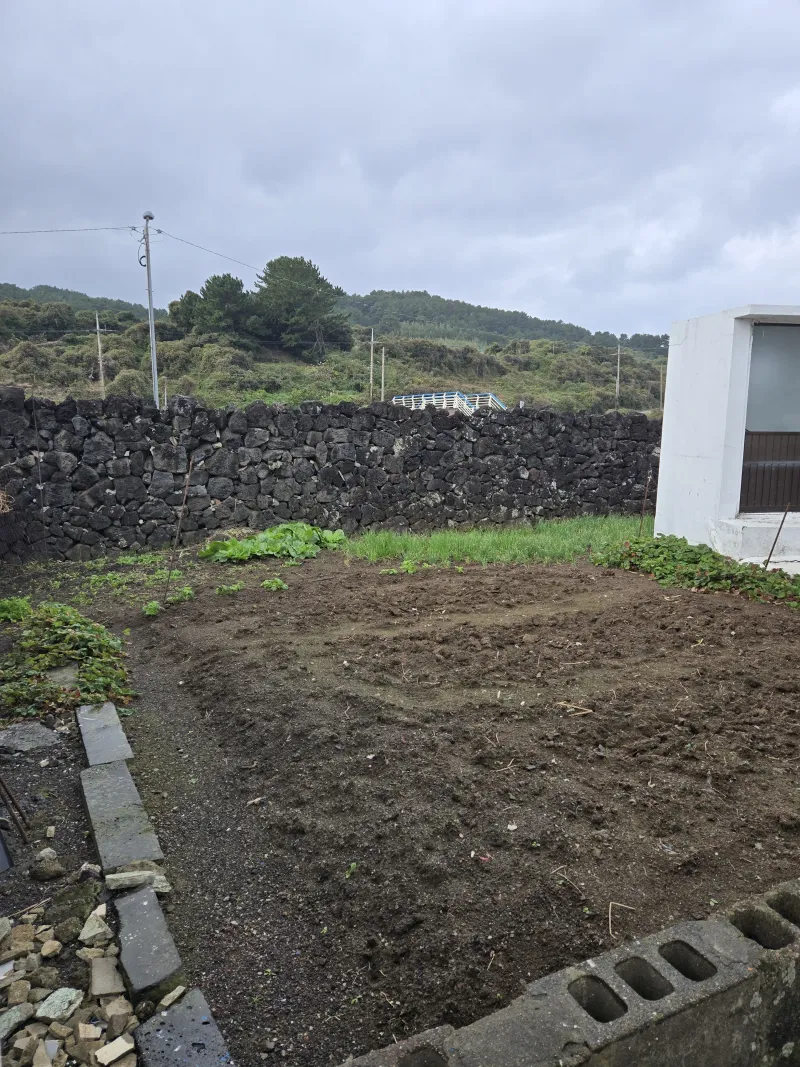 [Jocheon, Jeju] East Bukchon Village Beach 10-second cut #DogsAllowed 54