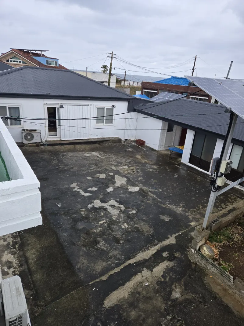 [Jocheon, Jeju] East Bukchon Village Beach 10-second cut #DogsAllowed 42