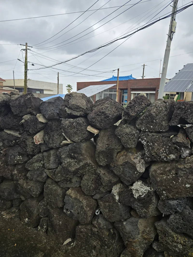 [Jocheon, Jeju] East Bukchon Village Beach 10-second cut #DogsAllowed 45