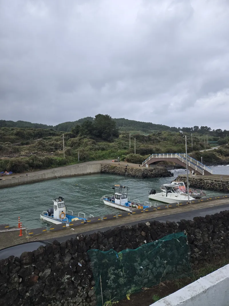 [Jocheon, Jeju] East Bukchon Village Beach 10-second cut #DogsAllowed 43