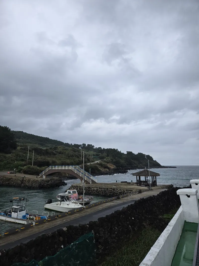 [Jocheon, Jeju] East Bukchon Village Beach 10-second cut #DogsAllowed 44