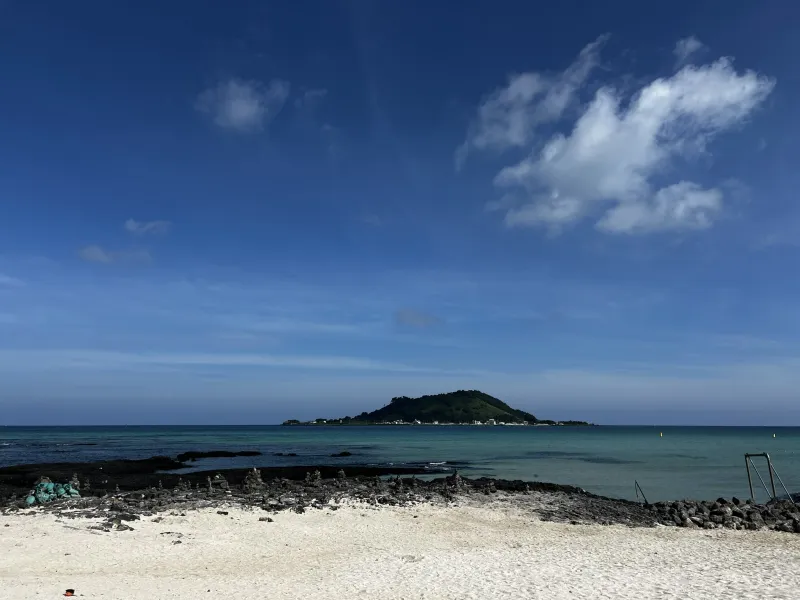 [Hallim, Jeju] A stylish private house within walking distance of Hyeopjae Beach that combines work and relaxation 81