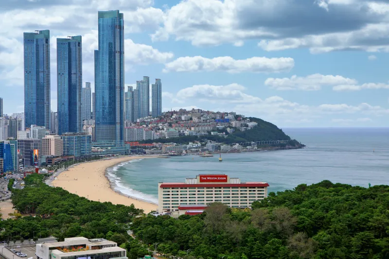 [부산 해운대] 바다의 별 23