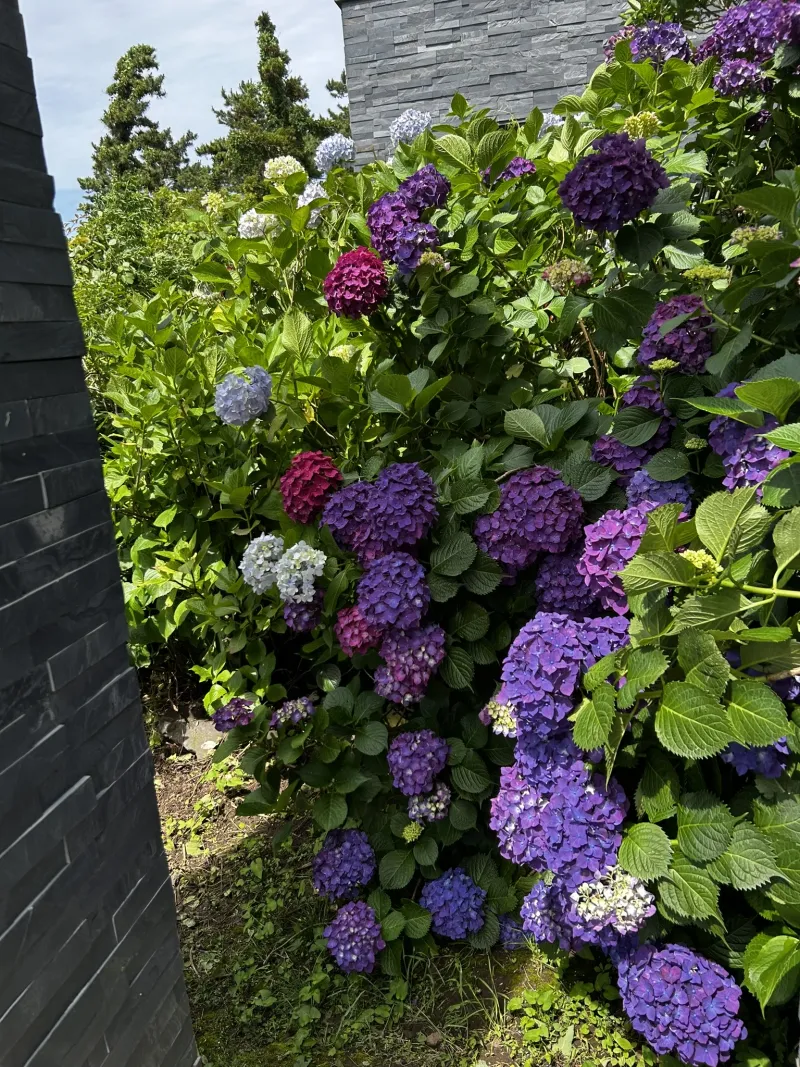 [Hallim, Jeju] A stylish private house within walking distance of Hyeopjae Beach that combines work and relaxation 42