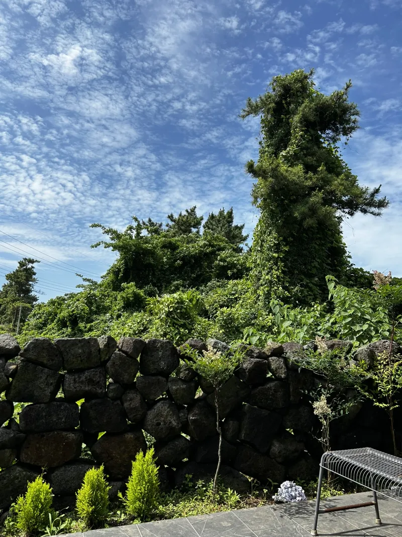 [Hallim, Jeju] A stylish private house within walking distance of Hyeopjae Beach that combines work and relaxation 44