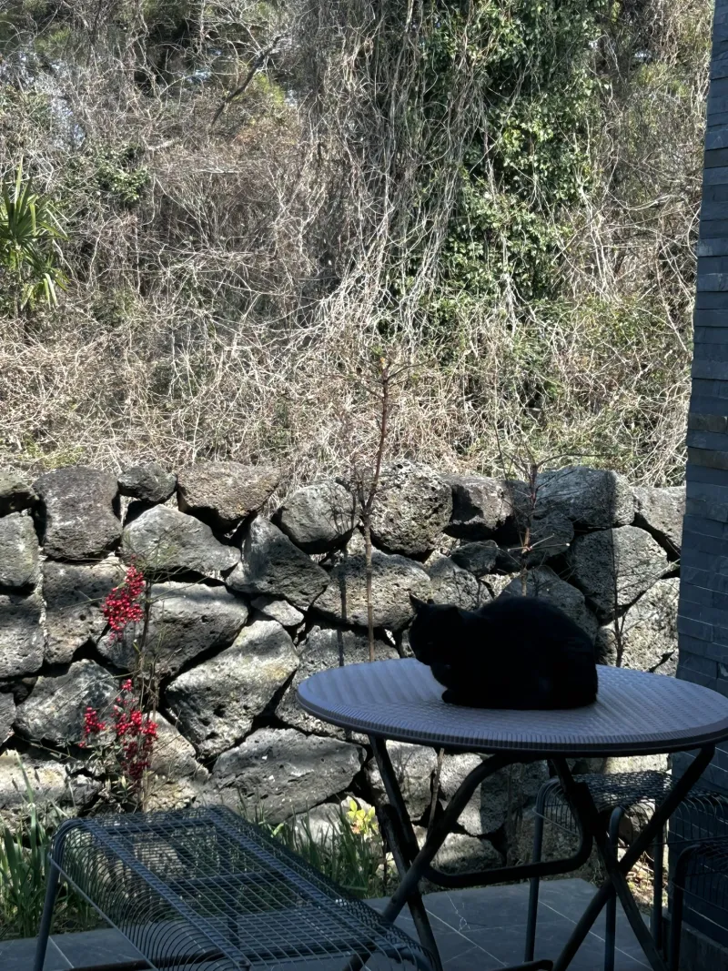 [Hallim, Jeju] A stylish private house within walking distance of Hyeopjae Beach that combines work and relaxation 39