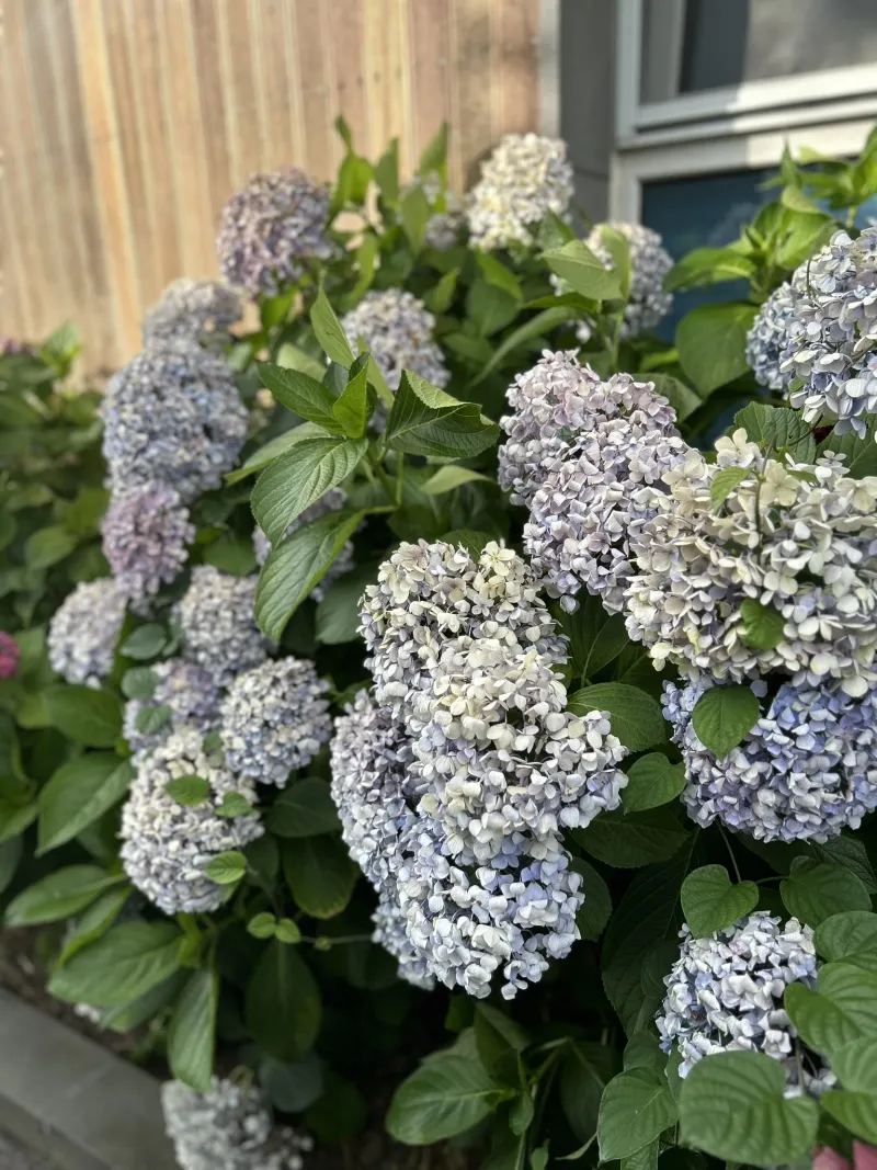 [Hallim, Jeju] A stylish private house within walking distance of Hyeopjae Beach that combines work and relaxation 50