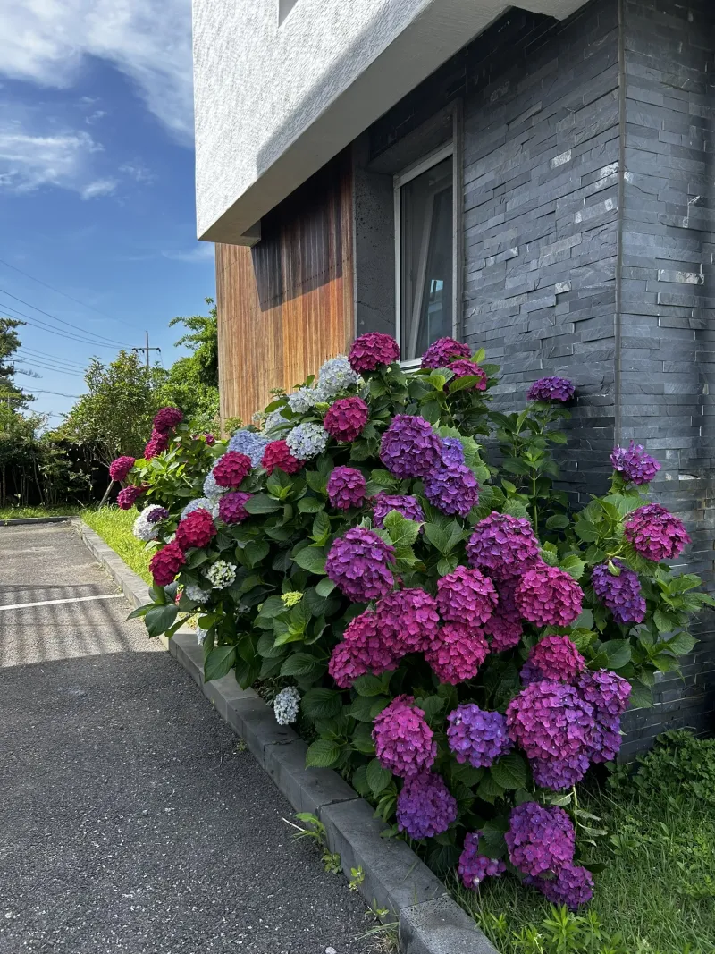 [Hallim, Jeju] A stylish private house within walking distance of Hyeopjae Beach that combines work and relaxation 46