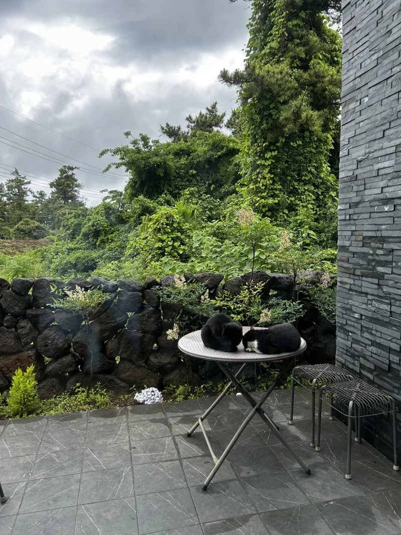 [Hallim, Jeju] A stylish private house within walking distance of Hyeopjae Beach that combines work and relaxation 41