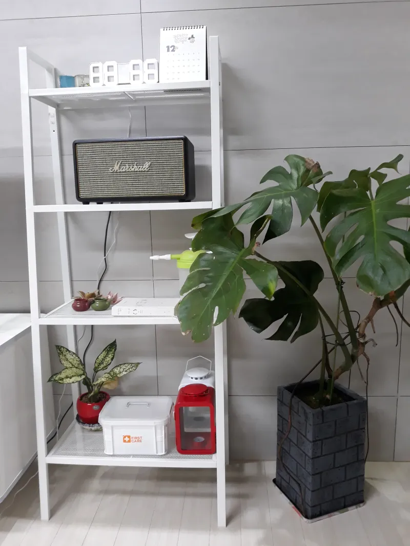 [Jocheon, Jeju] Private, spacious garden, 2nd floor, independent house near Hamdeok #Pets allowed 16