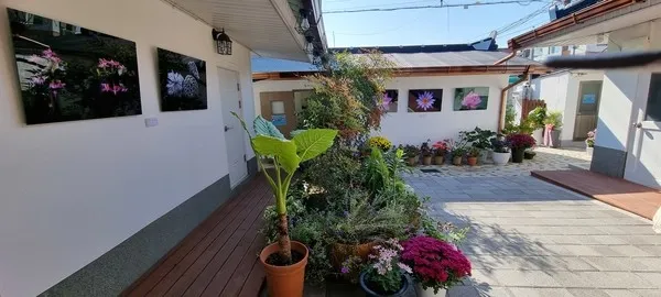 [Buyeo][Buyeo, South Chungcheong Province] The perfect accommodation for travel/business trips, a conveniently located share house. 12