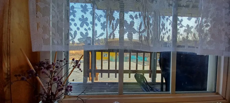 [강원 고성] 숲속오두막 독채#울산바위,바다차량7분#숲불별멍#집전체울타리 12
