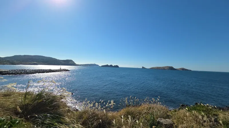[Hangyeong, Jeju] Private house with ocean view, spacious garden, and neat interior in a quiet seaside village on the west 92