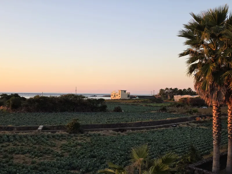 [Hangyeong, Jeju] Private house with ocean view, spacious garden, and neat interior in a quiet seaside village on the west 55
