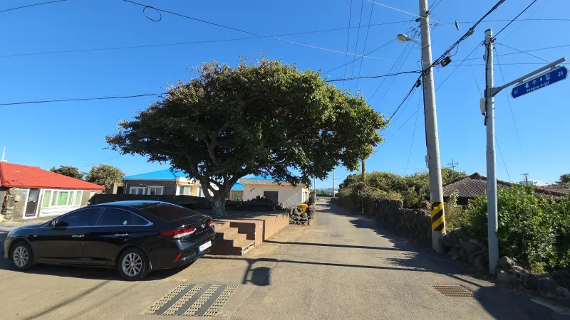 [Hangyeong, Jeju] Private house with ocean view, spacious garden, and neat interior in a quiet seaside village on the west 100