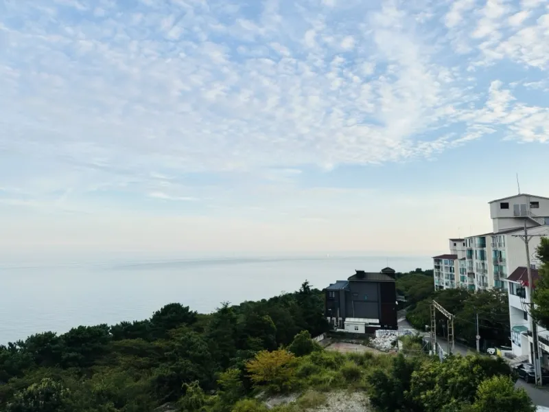 [부산 해운대] 달맞이 오션 뷰 16