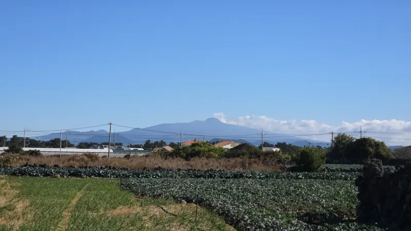 [Hangyeong, Jeju] Private house with ocean view, spacious garden, and neat interior in a quiet seaside village on the west 105