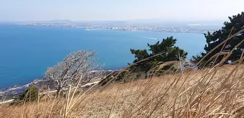[제주 한림] 비양도 / 석양 뷰 베란다에서 낚시 문어잡는 바다위 하우스 25