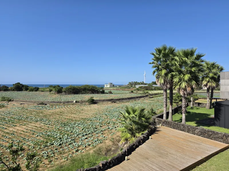 [Hangyeong, Jeju] Private house with ocean view, spacious garden, and neat interior in a quiet seaside village on the west 54