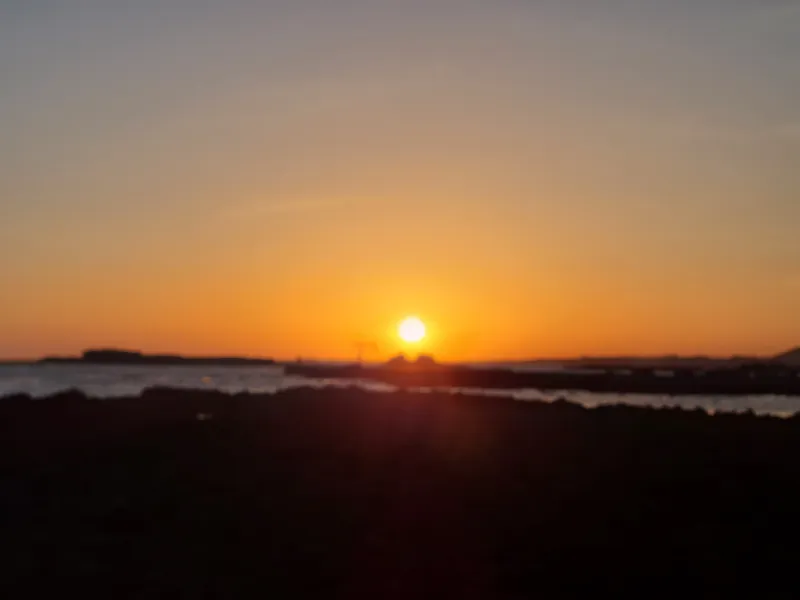 [Gujwa, Jeju] Independent Pension near Hadori Rabbit Island 8