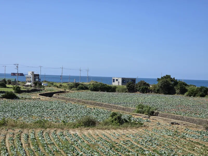 [Hangyeong, Jeju] Private house with ocean view, spacious garden, and neat interior in a quiet seaside village on the west 53