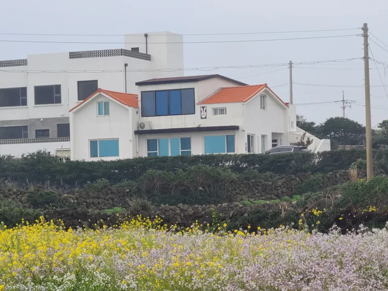 [Gujwa, Jeju] Independent Pension near Hadori Rabbit Island 7