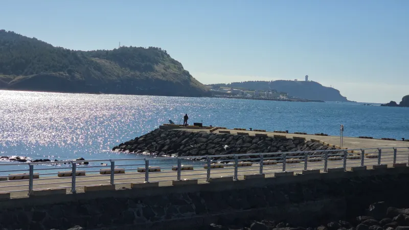 [Hangyeong, Jeju] Private house with ocean view, spacious garden, and neat interior in a quiet seaside village on the west 94