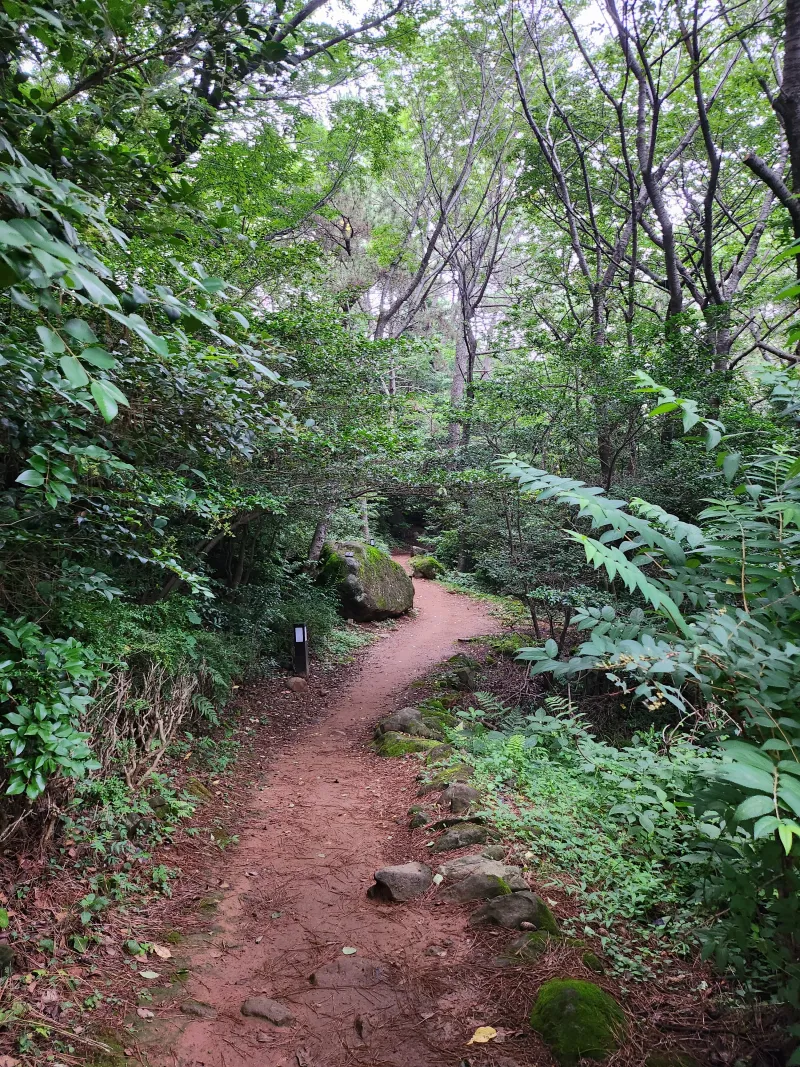 [부산 해운대] 달맞이 오션 뷰 18