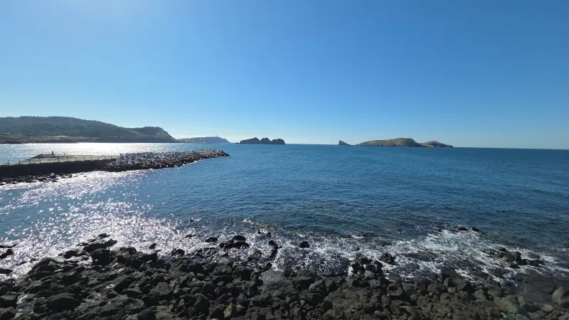 [Hangyeong, Jeju] Private house with ocean view, spacious garden, and neat interior in a quiet seaside village on the west 93