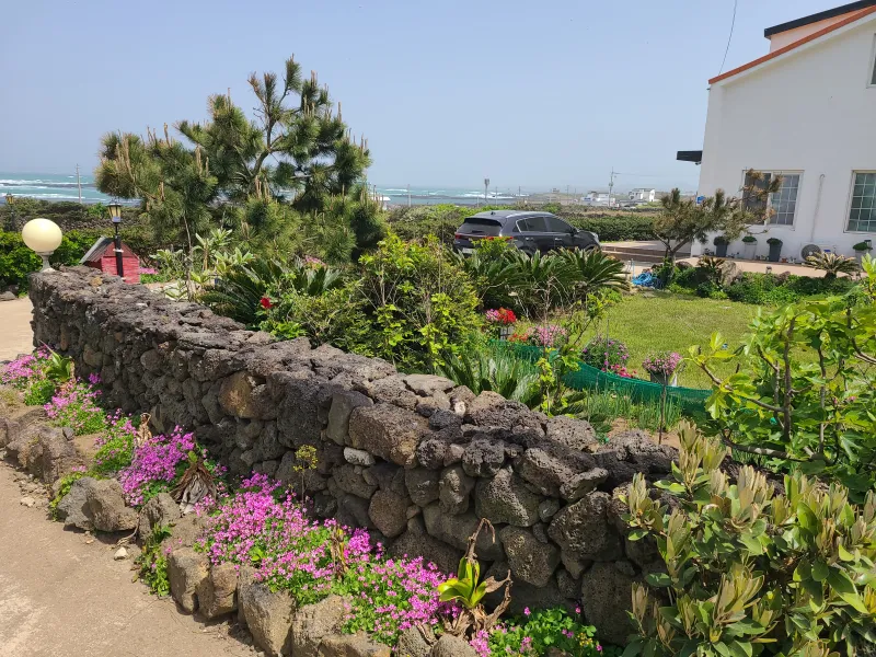 [Gujwa, Jeju] Independent Pension near Hadori Rabbit Island 6