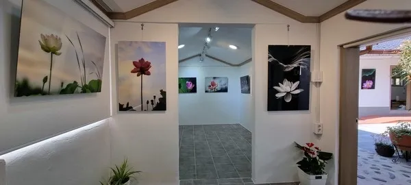 [Buyeo][Buyeo, South Chungcheong Province] The perfect accommodation for travel/business trips, a conveniently located share house. 14