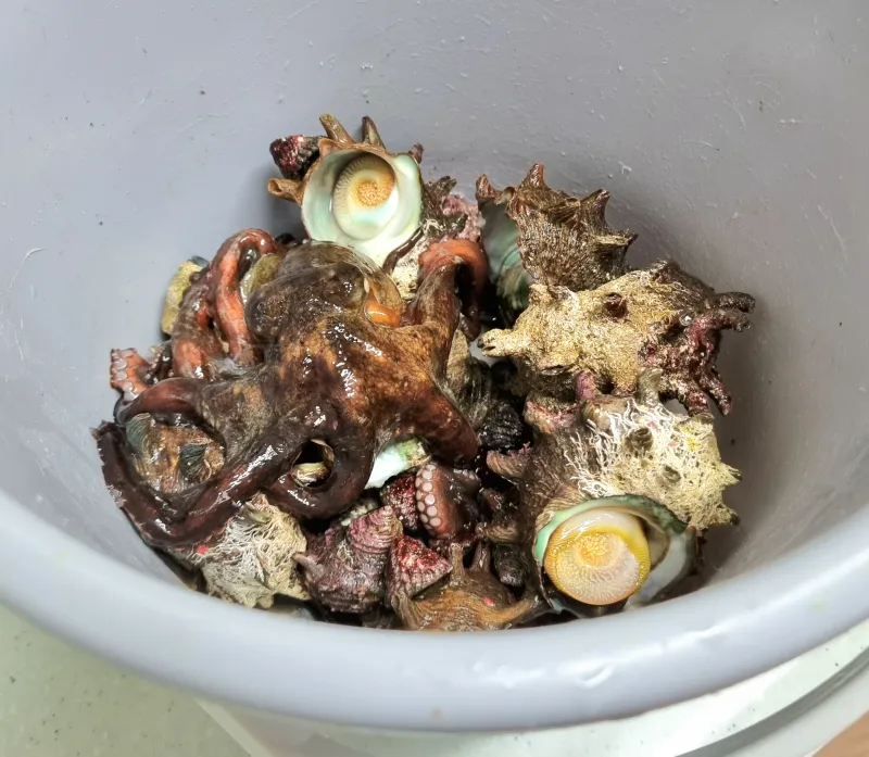 [서귀포 대정][오션뷰]산방산/모슬포항15평2층 한달살기 임대/워케이션가능 41