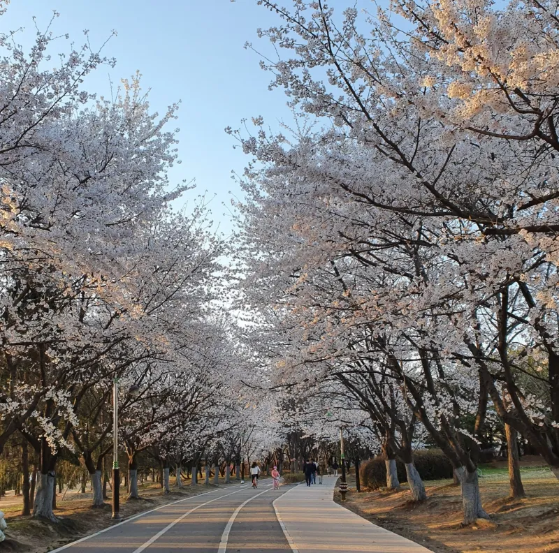 [Goyang] Jeongbalsan Station Area Lake Park View A 14