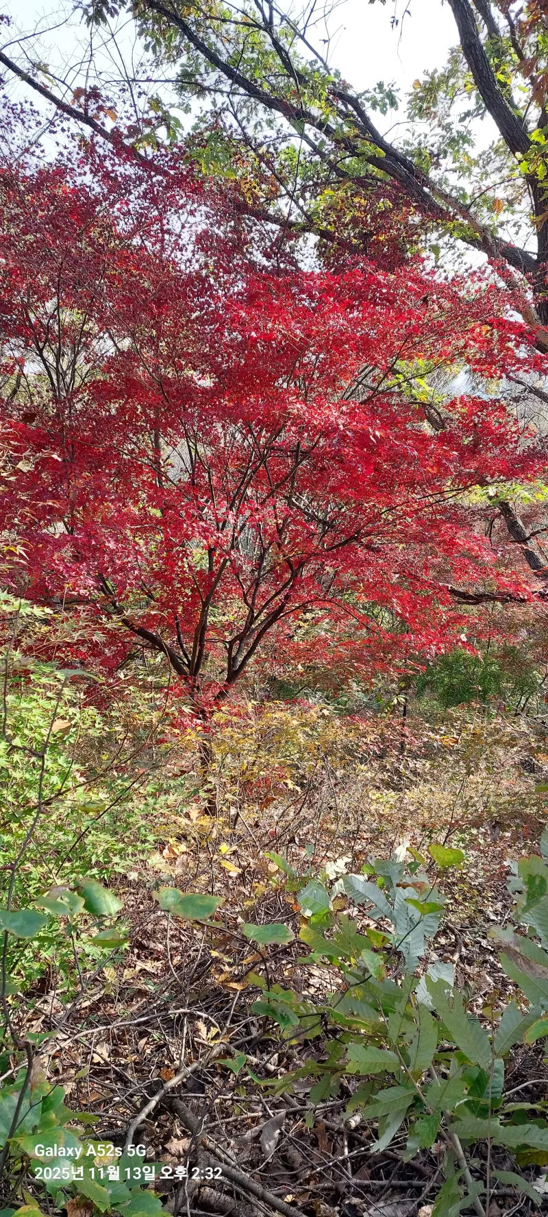 [Gyeongju] One-room apartment #205, 3-minute walk from the terminal 17