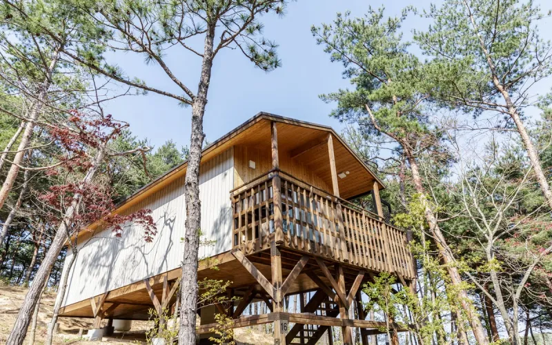 [Goseong] A healing, independent resort in a pine forest 12