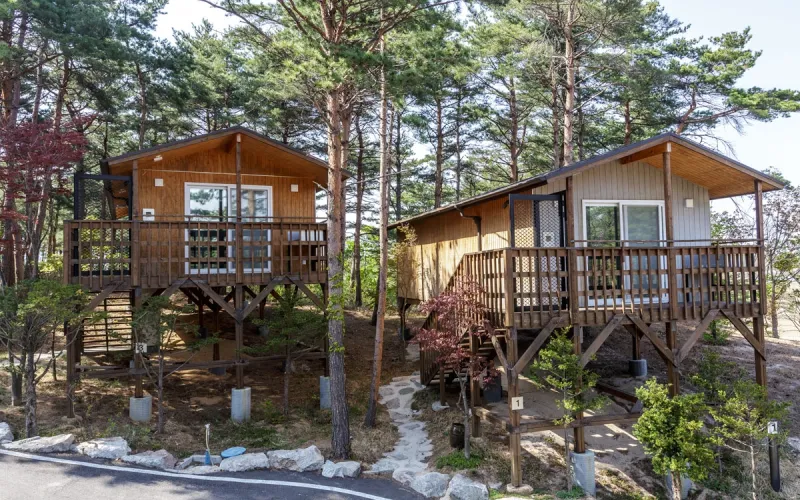 [Goseong] A healing, independent resort in a pine forest 11