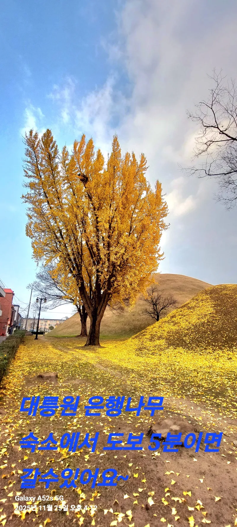[Gyeongju] One-room apartment #205, 3-minute walk from the terminal 15