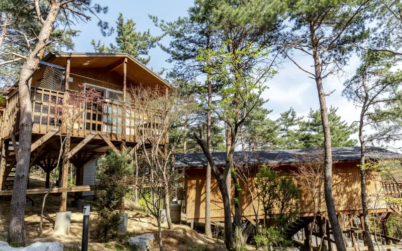[Goseong] A healing, independent resort in a pine forest 10