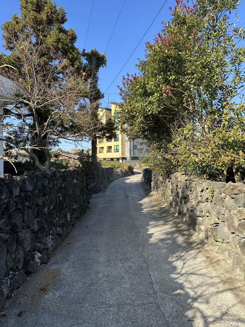 [서귀포 안덕] 화순해수욕장 및 산방산 관광지 인근 투룸#산방산뷰#편의시설굿 28