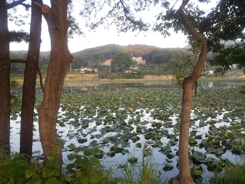 [Gapyeong] A healing and co-housing experience spot nestled in a mountainous area surrounded by rivers and lakes. 7