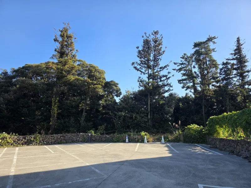[Aewol, Jeju] Forest House with green trees and rest 16