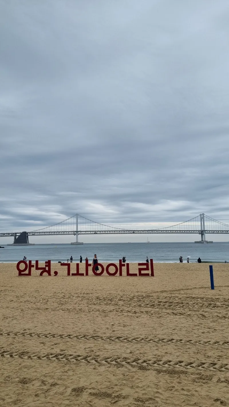 [Suyeong, Busan] Gwangan Local Restaurant Two Room 32