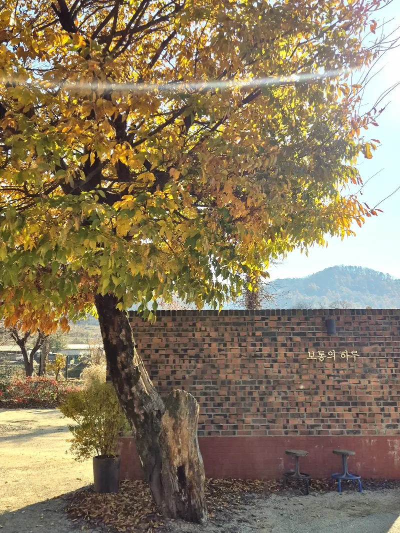 [Yangpyeong] 300-pyeong private house in front of a stream 25