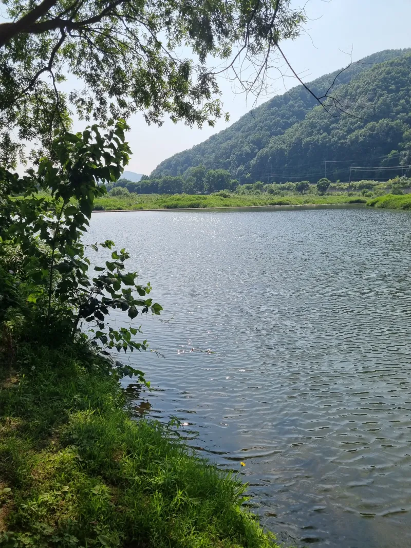 [Yangpyeong] 300-pyeong private house in front of a stream 32